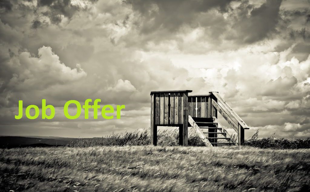 Job Offer