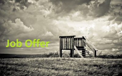 Job Offer