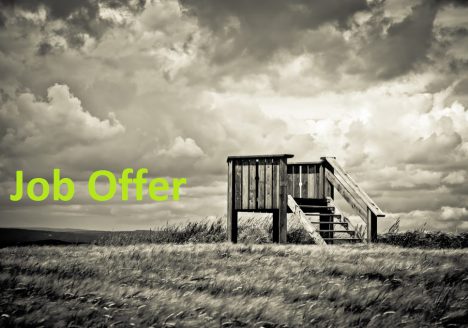 Job Offer
