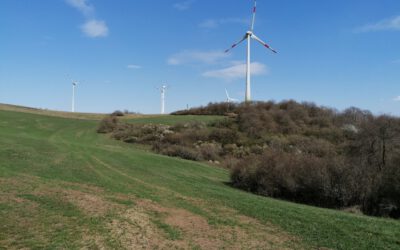 Windpark Falkenberg